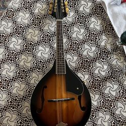 8-string Mitchell mandolin 