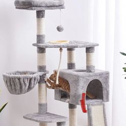 Cat Tree, Litter Box and Cat Bed