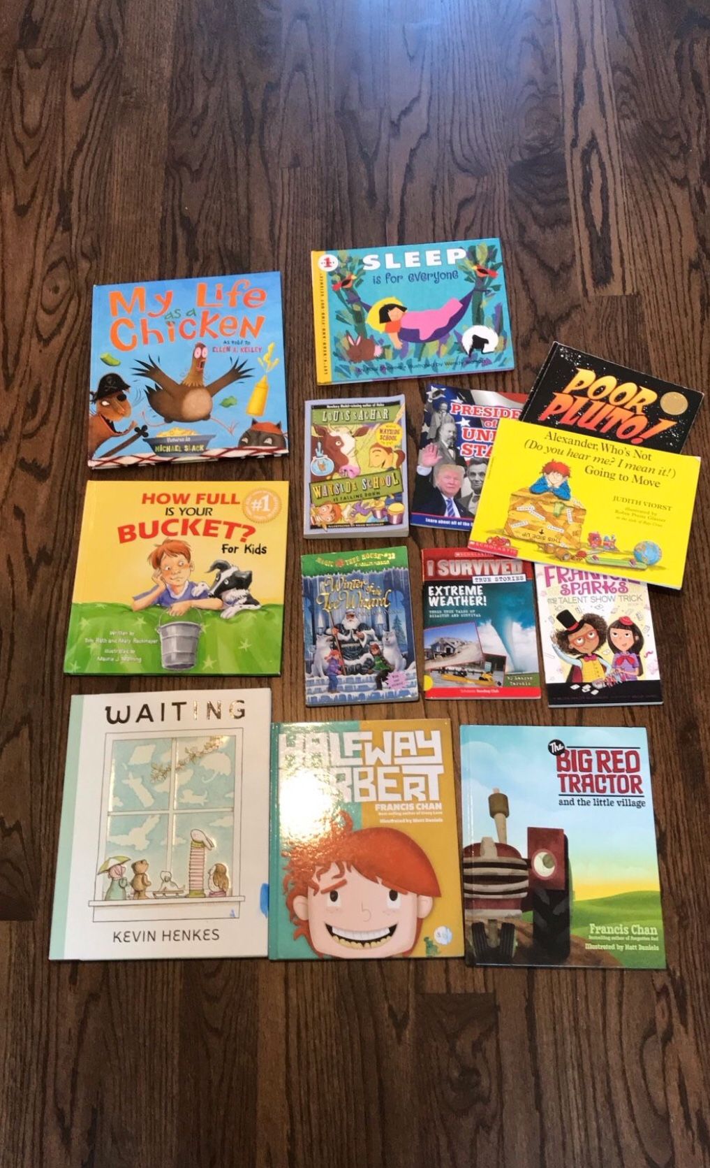 Great Good Condition Children’s Picture Books And Chapter Books