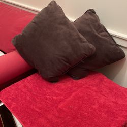 Two Brown Sofa Pillows