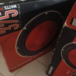 New 10 Inch Subs 2