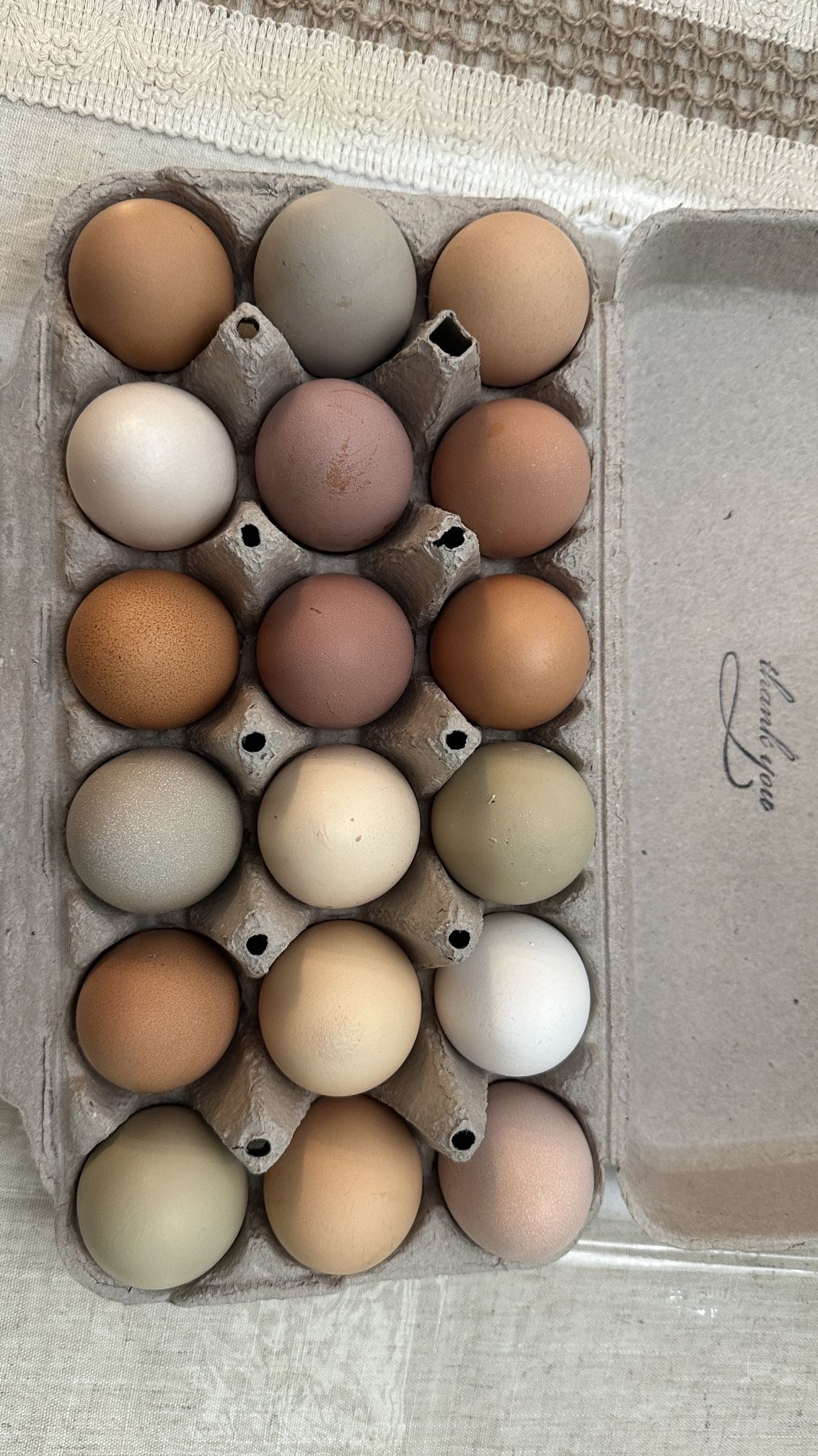 Pasture Raised LARGE Eggs