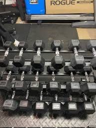 Rogue Dumbbells Set 5-50lbs