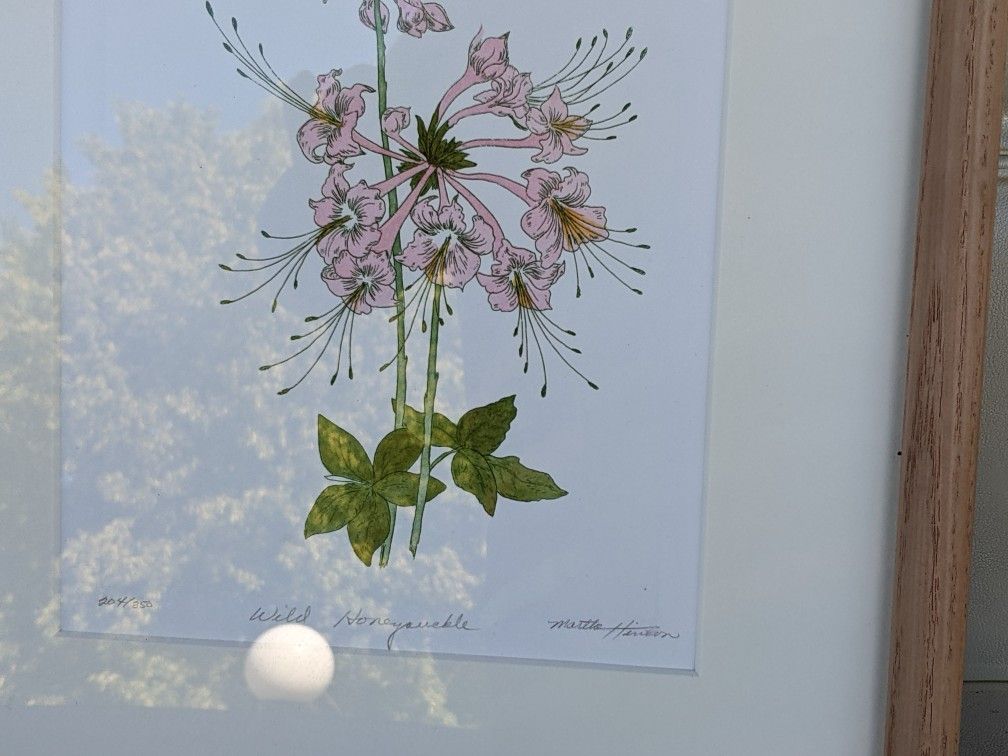 "WILD Honeysuckle"