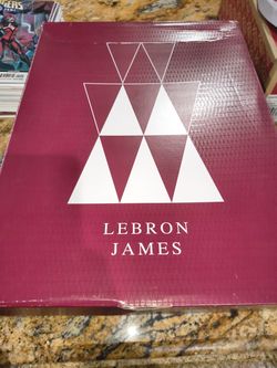 LeBron James Size 10 New In the Box Soldier Navy Sneaks $1300