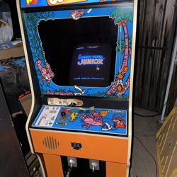 Donkey Kong Jr Arcade