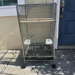 Bird Cage