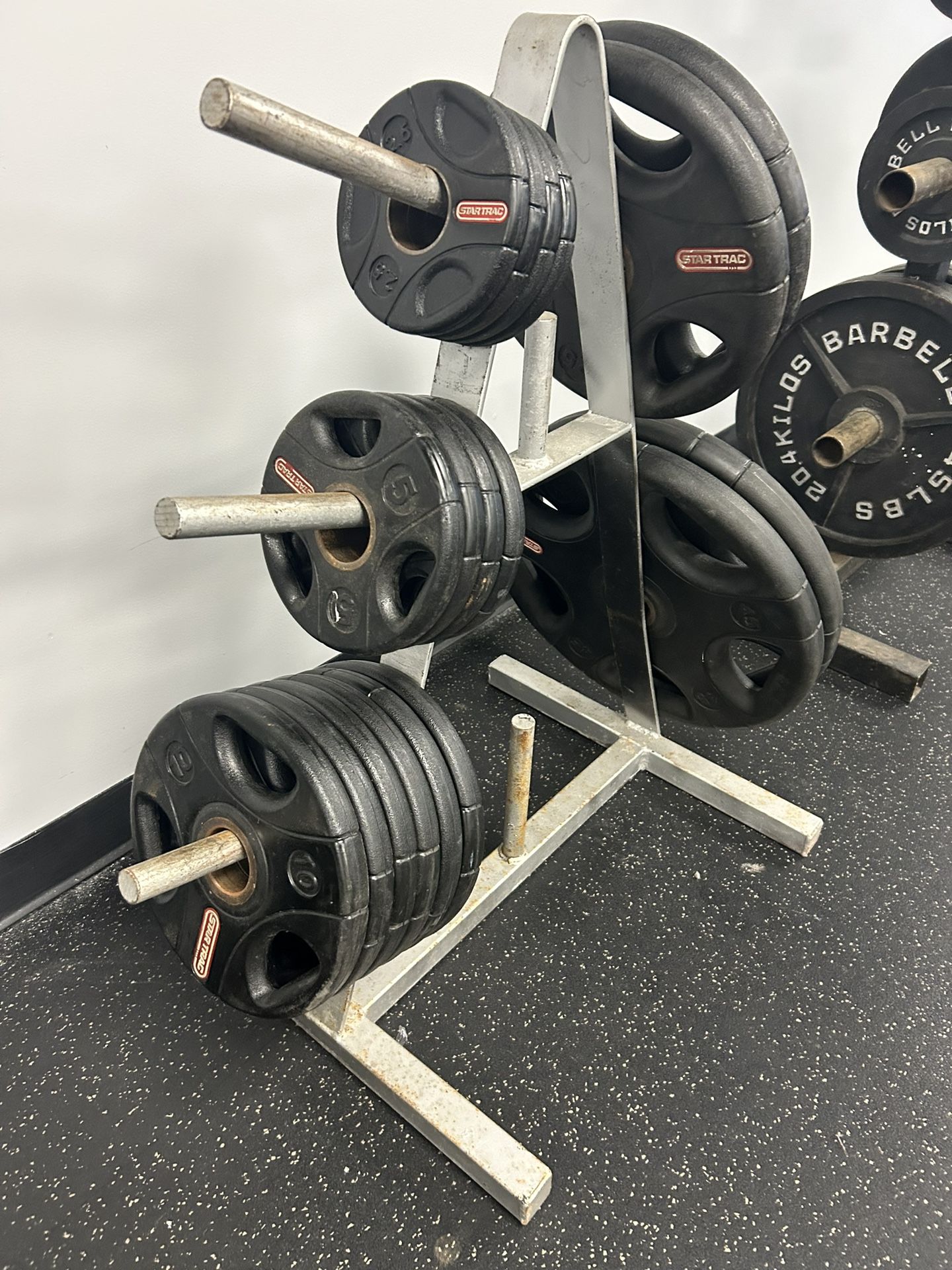 Star Trac Urethane Plates Set With Plate Tree