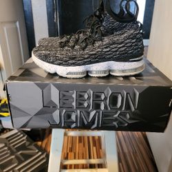 Lebron 15 Ashes Good Cond Sz. 9.5 $140