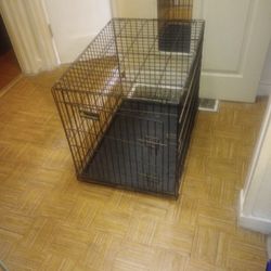 Dog Crate