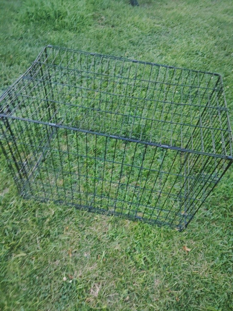 Dog Cage