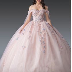 Quinceañera / Sweet Sixteen Dress