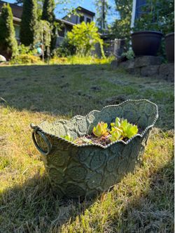 Metal planter with Sempervivum