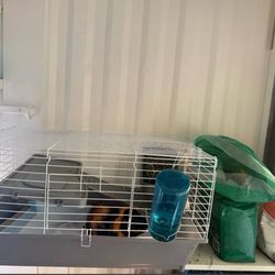 Guinea Pig Cage – Used, Great Condition