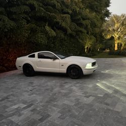 2006 Mustang GT