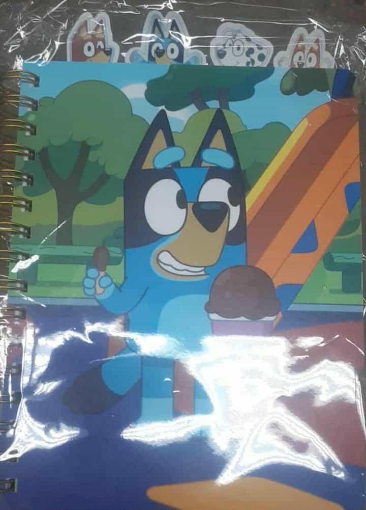New Bluey Tabbed Journal Book