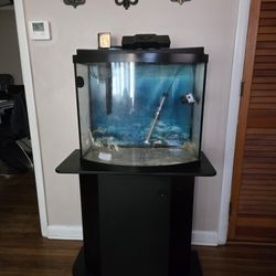 Fish Tank 