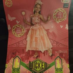 Glinda Costumes, Princess Peach Sweatshirt And Snoopy T-shirt 