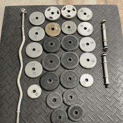 Standard Weights with Curling Bar and Dumbbell Bars
