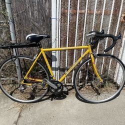 WELLINGTON 1.0 / WINDSOR BIKE