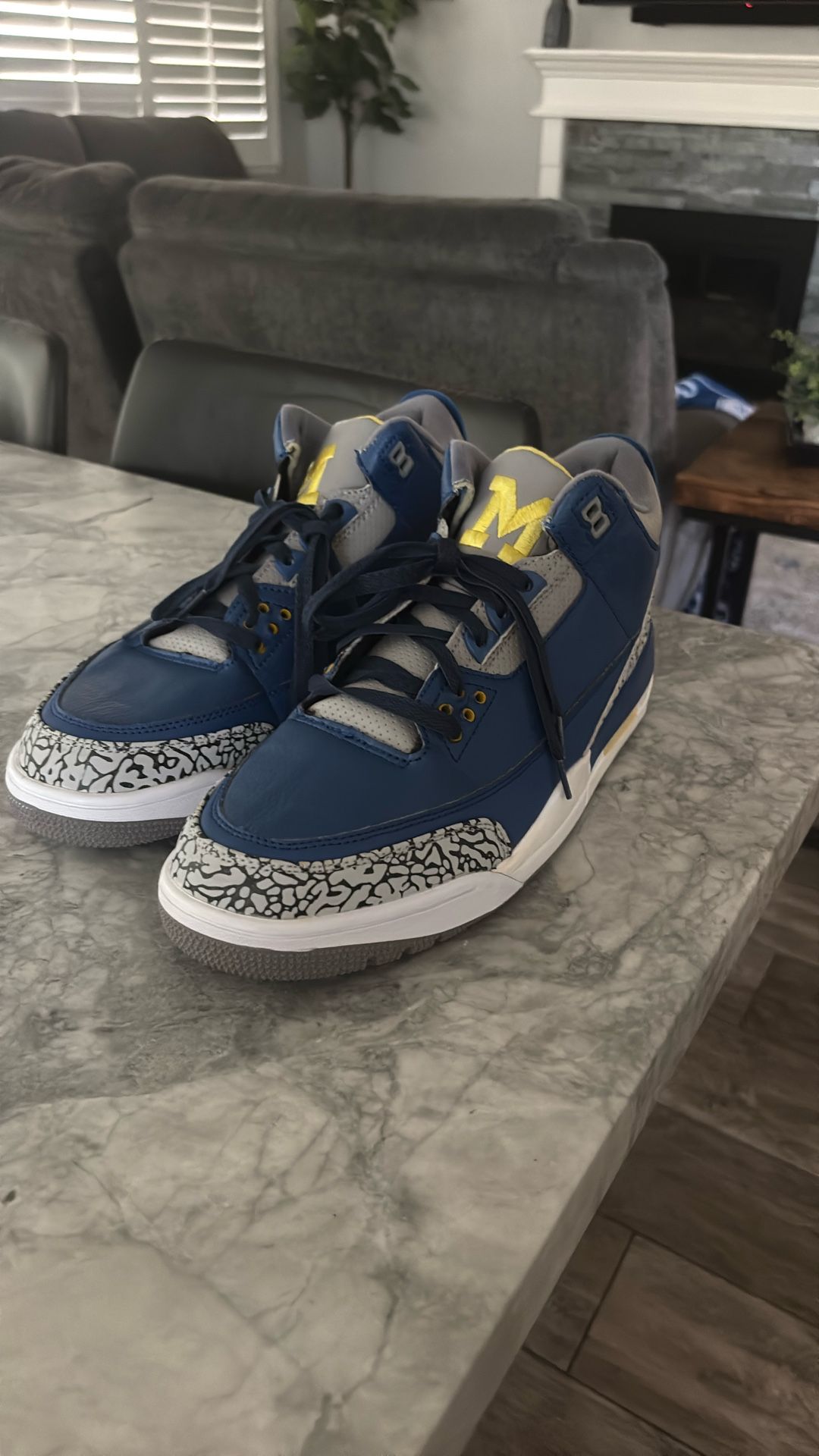 Jordan Michigan 3s Size 13