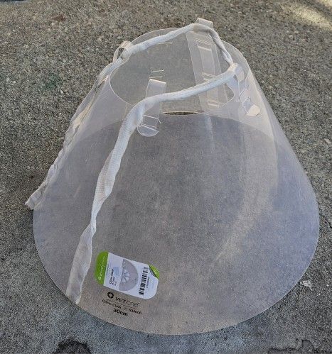 30cm Large Dog Cone Collar Adjustable 