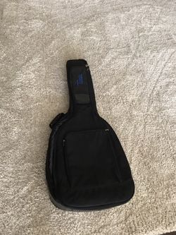 Torch soft guitar case.