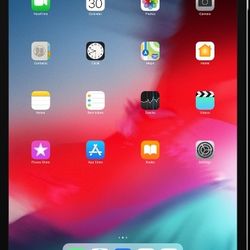 Pristine IPad Pro 3rd Generation 12.9" 256GB