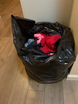 Free woman’s clothes misc.  (Bags)