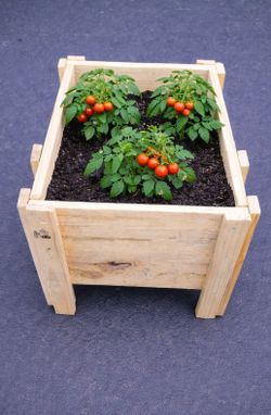 Time To Grow Your Own Food PINE Garden Bed 14" L x 14"W x 12" Deep