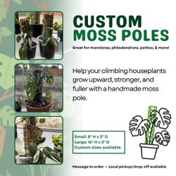 Custom Moss Poles for Houseplants