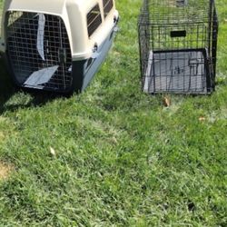 Dog Cages 