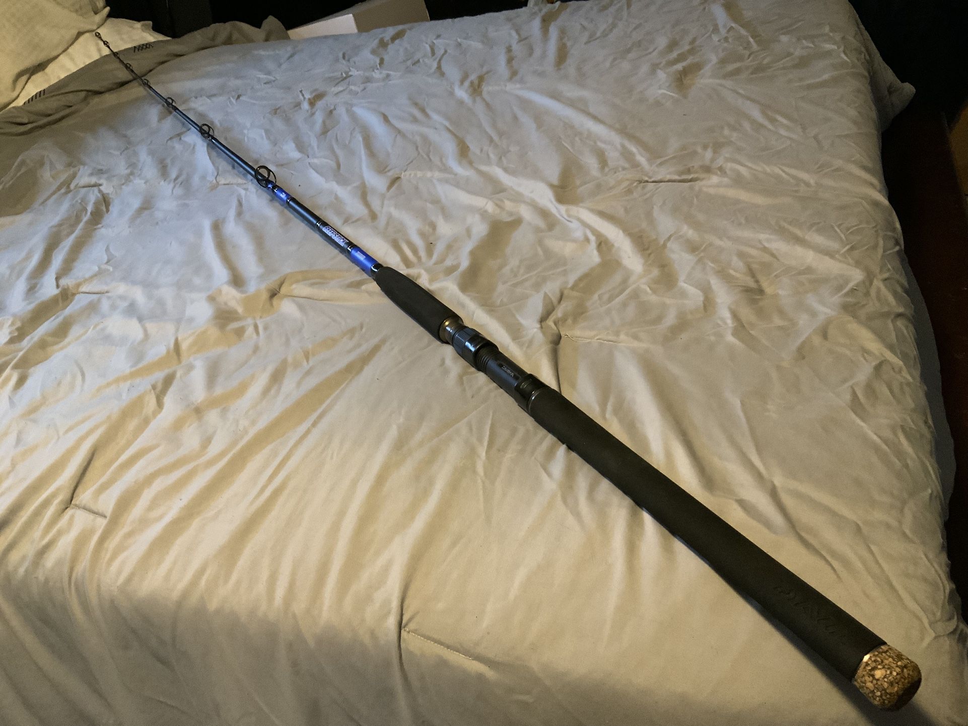 Daiwa Beef Stick Casting Rod