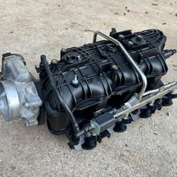 TBSS Intake Complete!! 