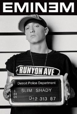 Eminem Mugshot Wall Poster 24"x36"