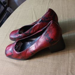 Ladies shoes( Size 7.5 M )