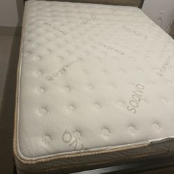 Queen Saatva Classic Mattress 