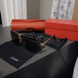 Cartier Sunglasses For Men. In Excellent Condition 