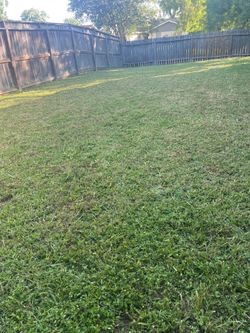 Grass