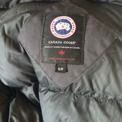 canada goose