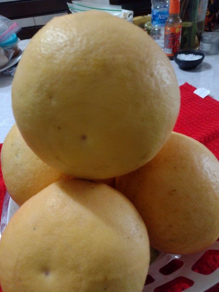 Son Toronjas & Grapefruit Pink $ 5x5 Dolls Son Grandes Organics ?