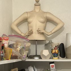 Mannequin bust