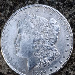 Morgan Silver Dollar