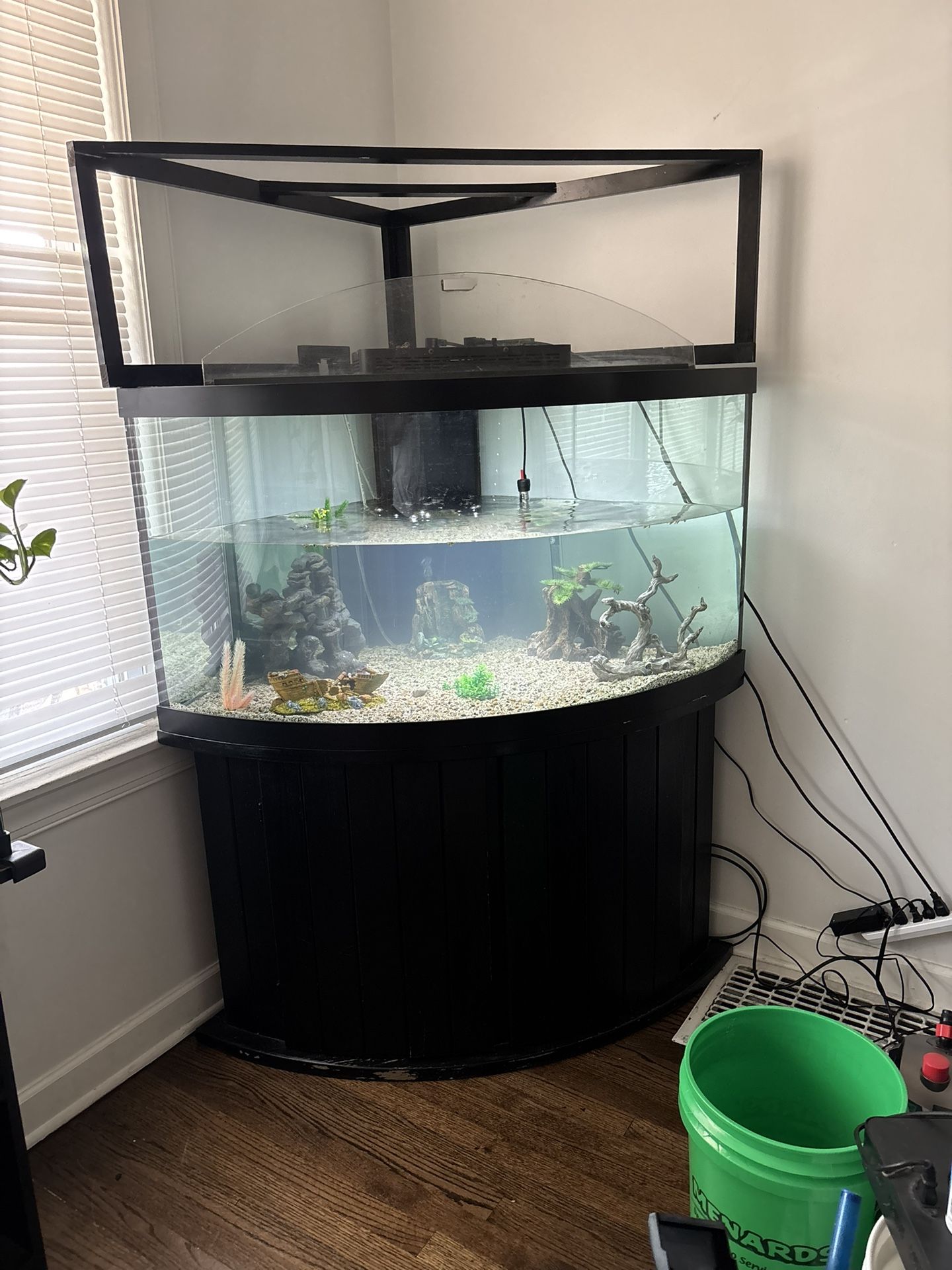 Fish Tank