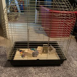 Bird Cage