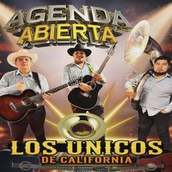 Grupo Sierreño Con Tuba