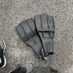 Flippers
