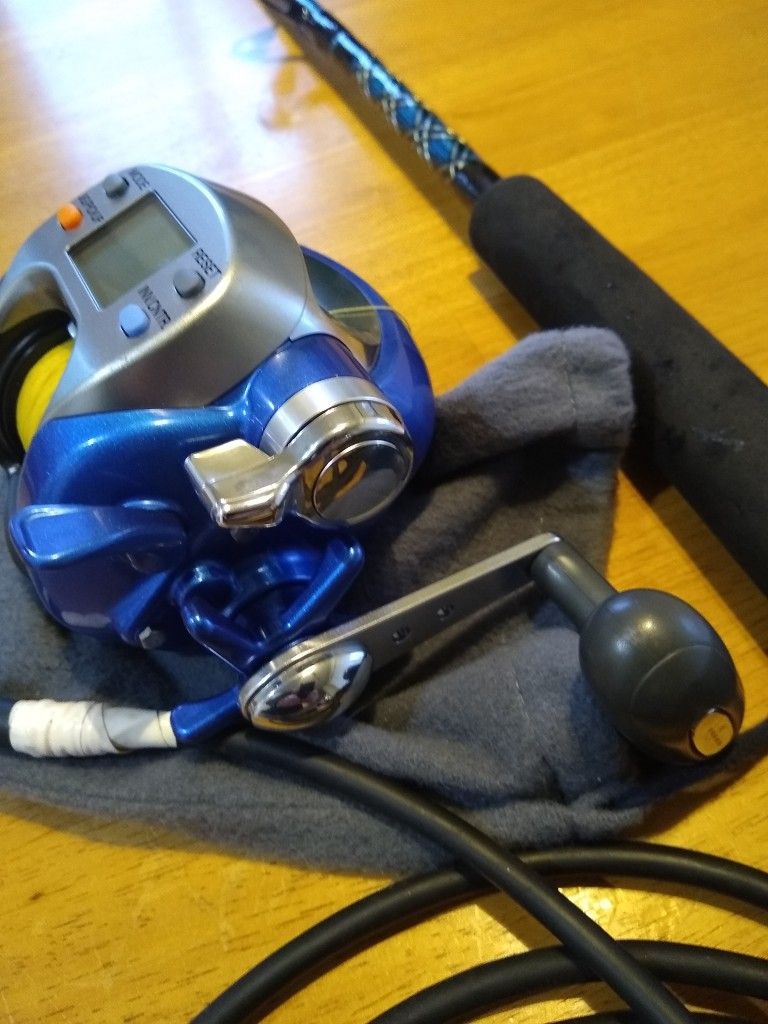 Diawa 500FE Electric Reel and Lamiglas Halibut Rod Combo for