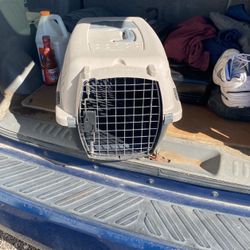 For Small dog or cat
