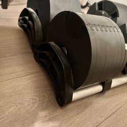 Adjustable dumbbells (5lbs-80lbs)